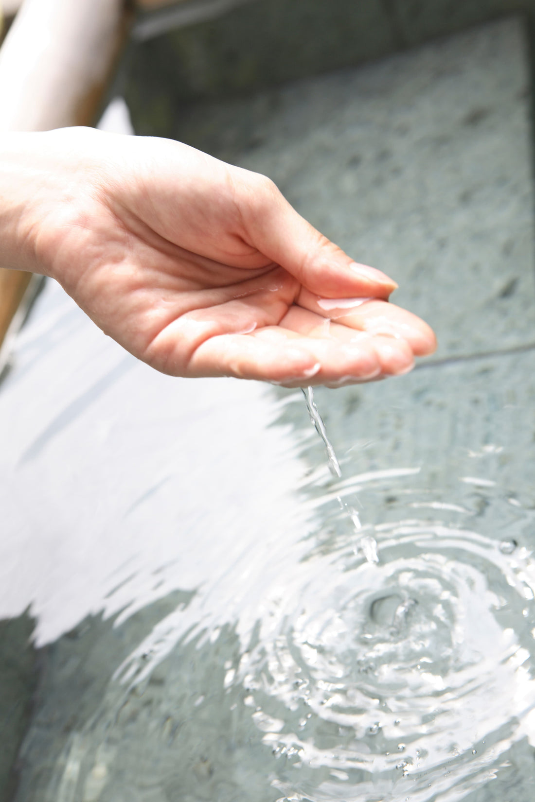 Water In Balms